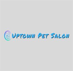 Uptown Dog Pet Salon