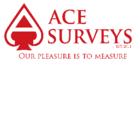 Ace Surveys Ltd