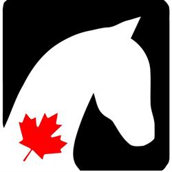 Maple Lane Equestrian Trailers