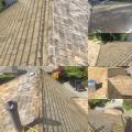 Cedar-Progression