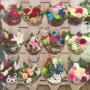 Flower bouquets Flower bouquets