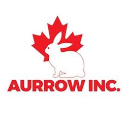 AURROW INC