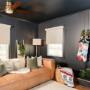 Roller Shades Roller Shades