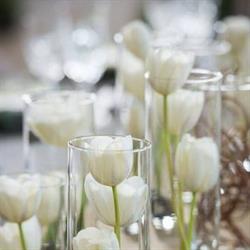Blue Waterfall Events