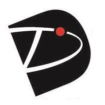 Dynamic Signs Inc