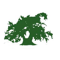 À VOTRE SANTÉ - Epicerie Santé - Marché Bio Organic Vegane - Tea Shop - Cafe en Vrac - Cosmetics