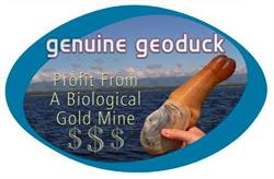 Manatee Holdings