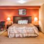 Artistically appointed guest room Artistically appointed guest room