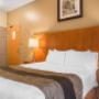 Guest room with one bed Guest room with one bed