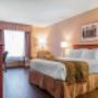 Guest room with one bed Guest room with one bed