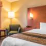 Guest room with king bed(s) Guest room with king bed(s)