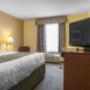 Guest room with king bed(s) Guest room with king bed(s)