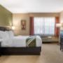 Spacious suite with added amenities Spacious suite with added amenities