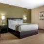 Guest room with queen bed(s) Guest room with queen bed(s)
