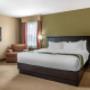 Guest room with king bed(s) Guest room with king bed(s)