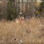 Altus Geomatics Land Surveying Altus Geomatics Land Surveying