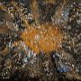 Stone Storm par/by Mark Charest Stone Storm par/by Mark Charest