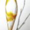 Joy-