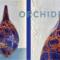 Orquidea