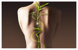 Think Chiropractic and Wellness Centre