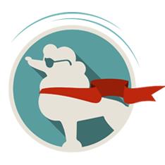 ZOOM ZOOM GROOM