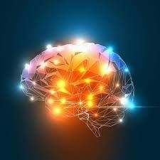Shift Concussion Management Clinical Practice