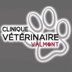 CLINIQUE VÉTÉRINAIRE VALMONT