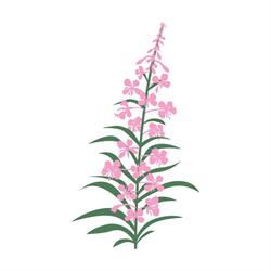Fireweed Heavy Truck & Equipment Repairs Ltd.