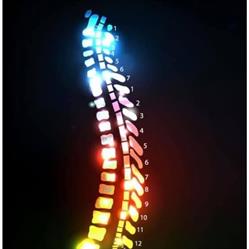 Calgary Spine and Sport