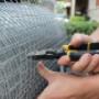 Prevent wildlife from entering your home through humane methods Prevent wildlife from entering your home through humane methods