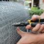 Prevent wildlife from entering your home through humane methods Prevent wildlife from entering your home through humane methods