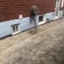 Exterior Waterproofing project Exterior Waterproofing project