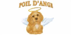Poil d'Ange Enr
