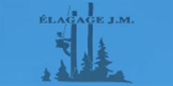 Élagage JM et Abattage d'Arbres