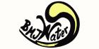 B M J Water Inc