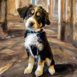 Precious Paws Dog Grooming