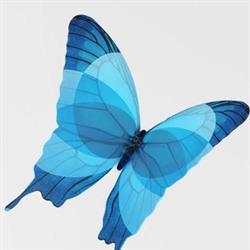 BestLifeRewarded Innovations