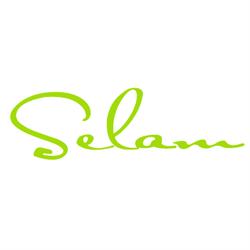 Selam Vegan Restaurant