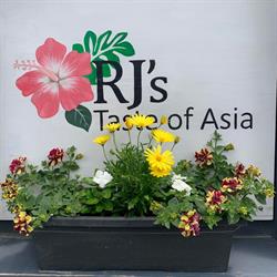 RJ's Taste of Asia