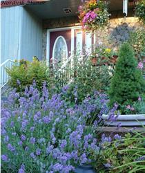 Nordvik Manor Bed and Breakfast