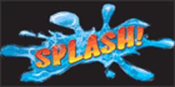 Centre D'Esthetique Automobile Splash Inc