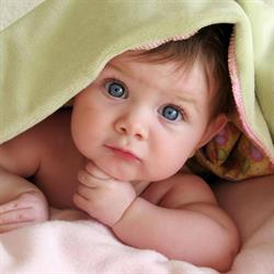 Ready Set Baby Planners & Boutique