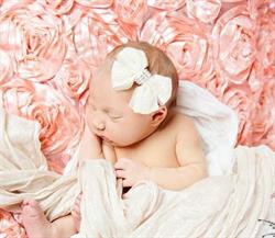 Stephanie Soulard Photographe