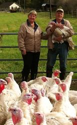 Eigler's Maplesprings Farm