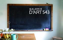 Galerie d'Art 543