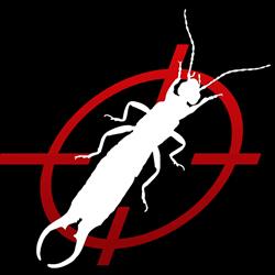Massicotte extermination inc