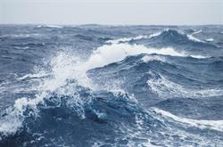 High Seas Convenience