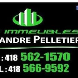 Les immeubles Alexandre Pelletier