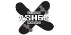 Ashes Skateboards and Snowboards