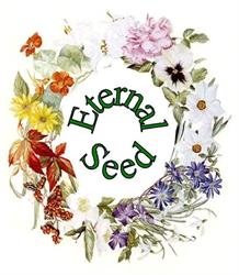 Eternal Seed Garden Centre